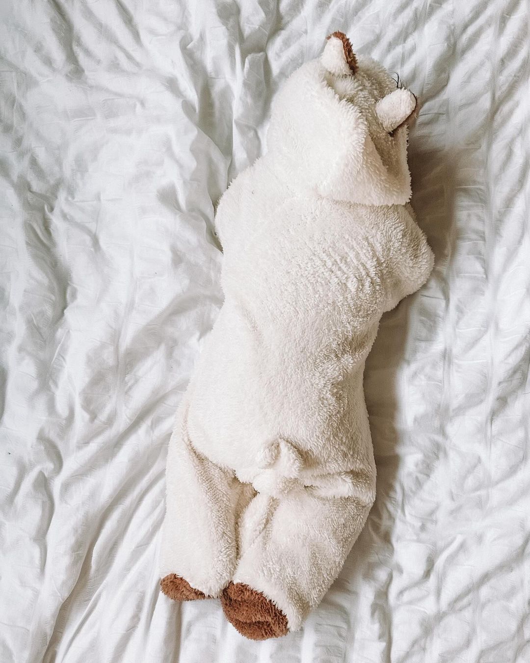 Teddy Bear Onesie